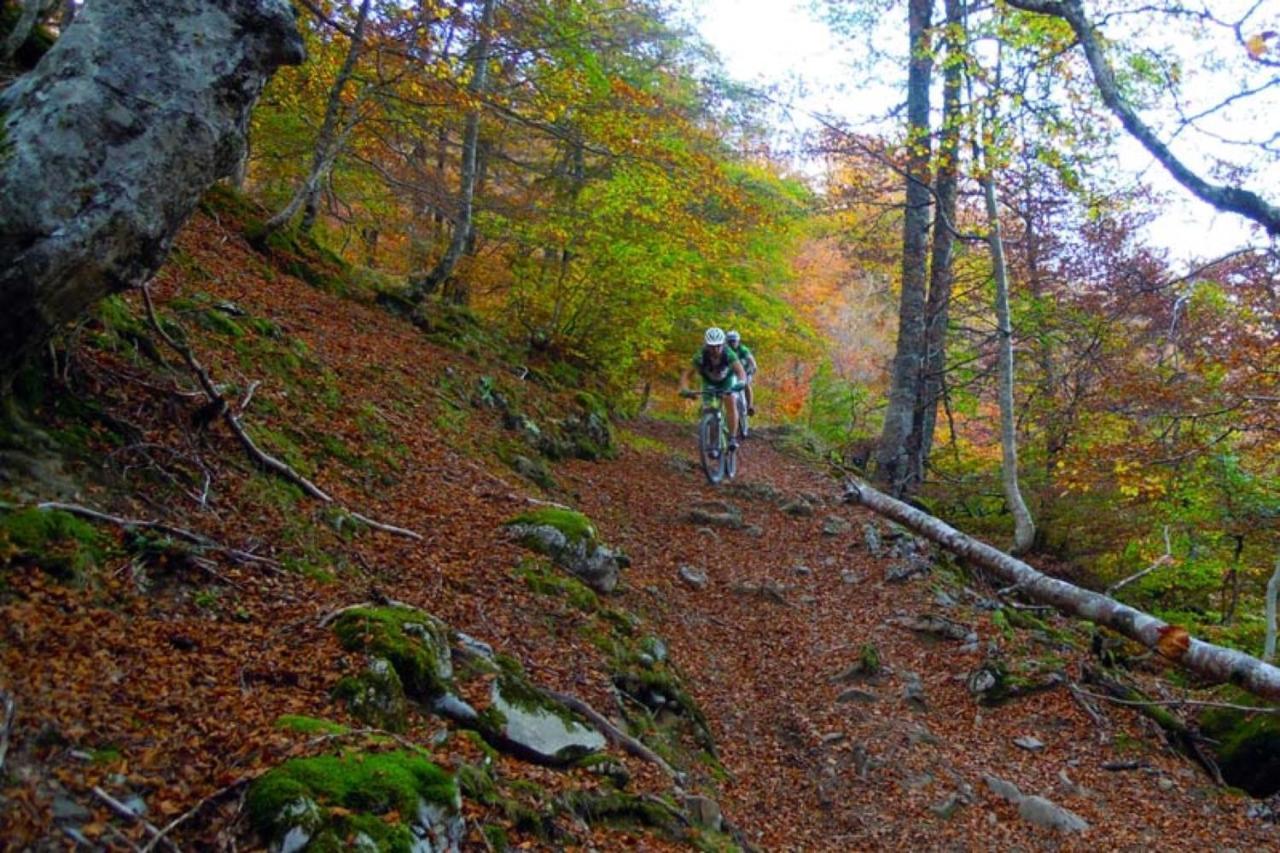 Hébergement de vacances Gran Pedroso De